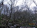 IMG 7127