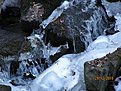 IMG 7132