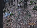 IMG 7133