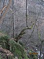 IMG 7139