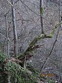 IMG 7140