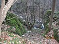 IMG 7141