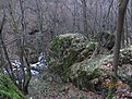 IMG 7143