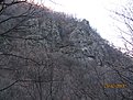 IMG 7146