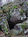 IMG 7147