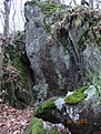 IMG 7149