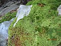 IMG 7151