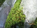 IMG 7152