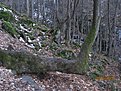 IMG 7156