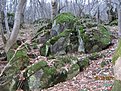 IMG 7157
