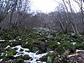 IMG 7158