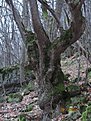 IMG 7159