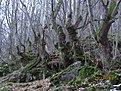 IMG 7160