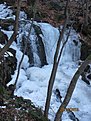 IMG 7162