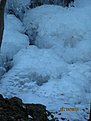 IMG 7163