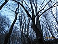 IMG 7164