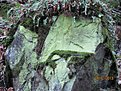 IMG 7165