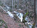 IMG 7166