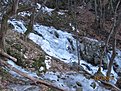IMG 7174