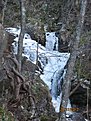 IMG 7175