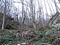 IMG 7177