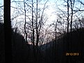 IMG 7179