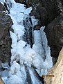 IMG 7184