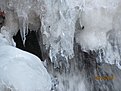 IMG 7185