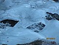 IMG 7191
