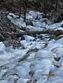 IMG 7192