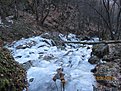 IMG 7193