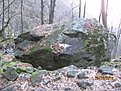 IMG 7195