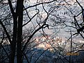 IMG 7196