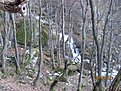 IMG 7198