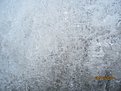 IMG 7201
