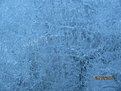 IMG 7202
