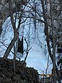 IMG 7203