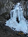 IMG 7216