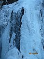 IMG 7220