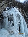 IMG 7232