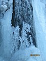 IMG 7234