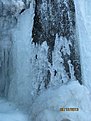 IMG 7235