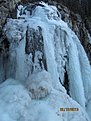 IMG 7236