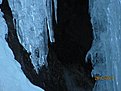 IMG 7237