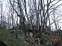 IMG 7243
