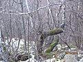 IMG 7251