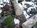 IMG 7253
