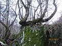 IMG 7256