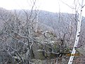 IMG 7258