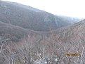 IMG 7264